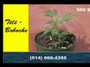 t�l�-annonce boboche mais vraiment poche !! lol
c'est mon premier montage qui date de 3 ans je testais des choses, mais je crois que c'est quand m�me dr�le tellement c'est poche !!!