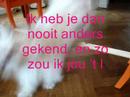 Nonnie Mijn Hondjuh