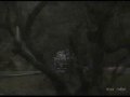 WRC clip!