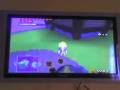 The legend of zelda wind waker glitch