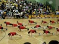 juniors spririt night holy trinity