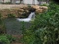 וואוו