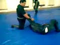 Bujinkan Veracruz Yama Arashi Dojo
