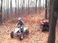 YFZ 450
