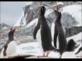 PENGUINS PENGUINS