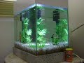 Aquário de 50 litros, localizado em Fortaleza - Ce, de filtragem biológica e temperatura controlada de 26ºC, com várias espécies de peixes ornamentais iluminados por luz fria, tipo LED, feita pelo proprietário. 