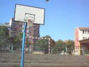 Basket exhibition
