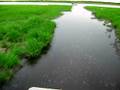 videos de Airboat Ride
