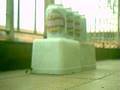 Chinezinha 4.5mm X Latas com Água