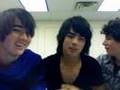 Jonas Brothers Live Chat [muffin man and barney]