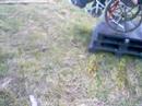 breaking wheel chair