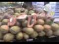 kinchil emplallando papaya