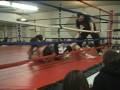 videos de louie3