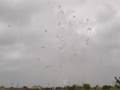 videos de Fuochi pirotecnici Diso maggio 2008 (2)