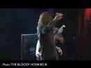 the-bloody-honkies-what-i-got-live.html