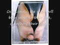 True and sad facts about the emperor penguin - Thumb #2