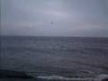 カイトボード in 三浦海岸