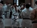 Entrenamiento Goju Ryu - www.gojuryu.com.ar Entrenamiento Goju Ryu - www.gojuryu.com.ar