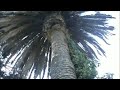 Squral hunt (pt1)