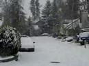 Tigard Snow Storm
