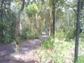 videos de Redhill roll down