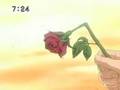 Peach Girl
