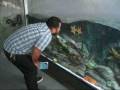 videos de Aquarium of the Pacific visit