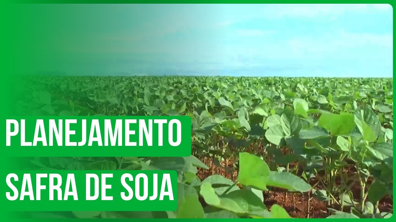 Planejamento da safra de Soja