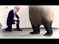 US should ditch Taiwan: New York Times op-ed