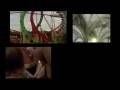 videos de HUM