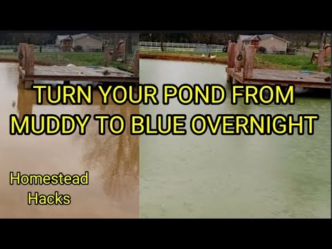 video-linktoworks-How To Dye Farm Pond For Algae Control