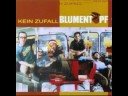 Blumentopf - Ich habe eine Crew