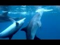 https://youtu.be/6uTCllyxC2g