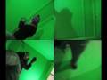 nydance-Sequence 1-H 264 LAN Streaming