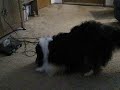 Drew Playing with a Water Bottle