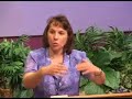 Jehovah's Witness Questions: Answering Questions Your Jehovah's Witness Friends Ask: Topics Include: JWs and Christianity, Trinity, War, Hell, Cross, God's Name Jehovah, God's Kingdom, The Truth  (JWQ Seminar from Witnesses for Jesus, Inc. - www.4witness.org)