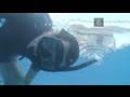 How To Be Safe And Successful In Snorkelling