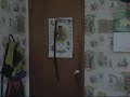 The Clapper
