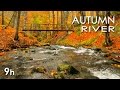 AUTUMN RIVER SOUNDS -  RELAXING NATURE VIDEO - SLEEP/ RELAX/ ..