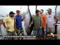 Sunset Marina - "The Daily Catch 6" July 2011
