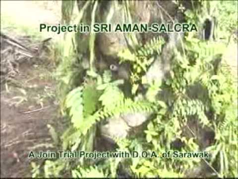 how to fertilize 5 acres