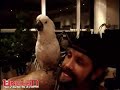 Uncle D & Kiku Duet