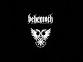 behemoth video journal ep 2