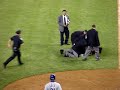 Yankee Game Fan On The Field