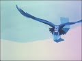 Lady Pank — Marchewkowe pole