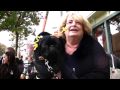 Halloween Pet Parade
