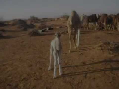 TATAOUINE - une video Musique.mp4