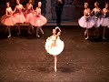 3 Kirov Mariinsky Ballet Don Quixote Dulcinea Variation Nioradze Vishneva Somova