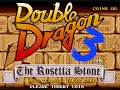 the premise of double dragon 3 is explained on the game's attract sequence: while returning to their home from a training trip, billy and jimmy lee cross paths with a fortune teller named hiruko. the fortune teller cryptically tells the brothers that they must collect the three 