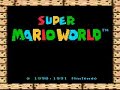 Asshole Mario Stage 9